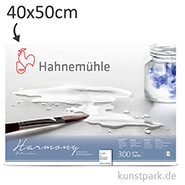Hahnemühle HARMONY Aquarell Papier, 12 Blatt, 300g - rau 40 x 50 cm