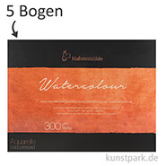Hahnemühle The Collection Watercolour matt 300g Einzelbogen 5 Bogen 106x78 cm