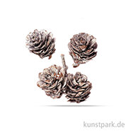 Kiefernzapfen 3 - 4 cm, 50g 