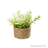 Miniatur Zimmerpflanze II, 4 cm 