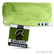 Talens REMBRANDT Aquarellfarben 1/2 Näpfchen | 620 Olivgrün