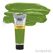 Winsor & Newton GALERIA Acrylfarben 120 ml Tube | 599 Saftgrün