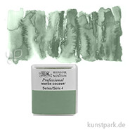 Winsor & Newton Aquarellfarben 1/2 Napf | 637 Terre Verte